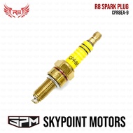 R8 R8 SPARK PLUG CPR8EA-9 (9855-411)