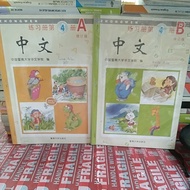 Mandarin Book 4 AB zongwen