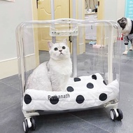 LdgCat Luggage Cat Bag out Portable Dog Stroller Space Capsule Transparent Pet Trolley Bag Large Cat Cage X564