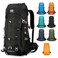 New Style/Outdoor Sports Hiking Bag 60L Large Capacity Autumn New Product Backpack Hiking Camping Tr
