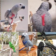 Training Flying Traction Rope Anti-Bite Training Rope Bird Leash Parrot Flying Rope Parrot Harness B