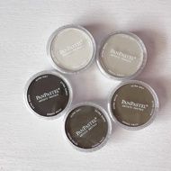 PanPastel Ultra Soft Artist Pastel 9ml - Raw Umber Tones (Soft Pastel)