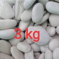 PROMO 3 Kg white coral stone - cheap white coral stone