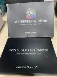 Coastal scents eyeshadow- winter berry palette