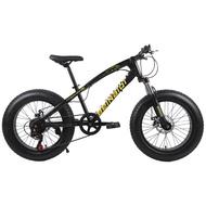 20inch 4.0 big tire mountain bike 7 variable speed Fat tire snow beach mountain bicycle