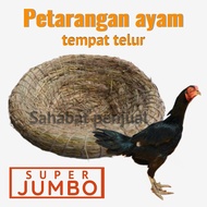 Petarangan ayam. susuh ayam jumbo bahan jerami nyaman dan hangat untuk menetaskan telur ayam