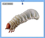 KAIYODO扭蛋 毛毛蟲仿真掛飾 日本大鍬蛾幼蟲