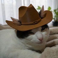 Cute Cat Cowboy Hat – Cowboy Hat for Cat Cat Cat Costume Accessories