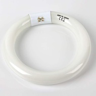 Microscope Ring Light 4-Pin T9 Fluorescent 22W