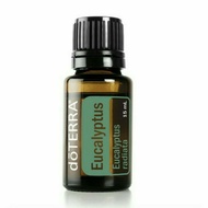 Eucalyptus (Eucalyptus Essential Oil) 15ml