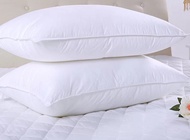 [tặng vỏ] Ruột gối ôm cotton dài 30 x 100cm  vỏ gối cotton bông gòn cao cấp ép chân không- gối ôm dà