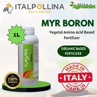1L MYR Boron – Baja Borat Cecair dari Itali (Agroniche) | Tanah taman / Fertilizer 肥料