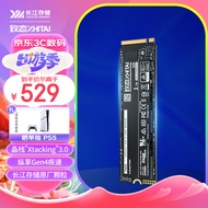 致态（ZhiTai）长江存储 1TB SSD固态硬盘 NVMe M.2接口 Ti600系列 (PCIe 4.0 产品)