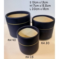 Golden Pot / Cactus Pot / Plant Pot