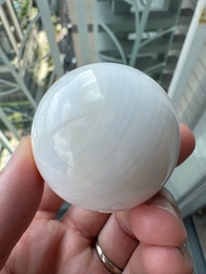 白硨磲球T91