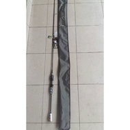 Pioneer Evo II Solid Carbon Rod