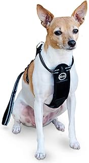 K&H Travel Safety Harness/Harness with Impact Relief Cushioning/Attaches to Seat Belt/Secure/No Leas