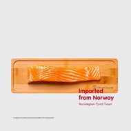 Fresh Salmó | finest sashimi grade | fjord trout | direct airflow from Norway | Salmonidae