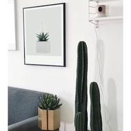 小鮮綠之希望不遠處－掛畫/北歐/植物掛畫/多肉掛畫/客廳掛畫