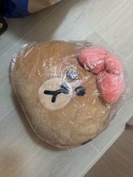 LINE FRIENDS CHOCO 抱枕和毛毯