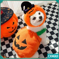 CVMAX Halloween Dog Pumpkin Clothes, Cute Funny Pumpkin Hat, Creative Autumn Winter Pet Costume Cosp