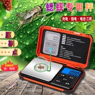 Diheng Cricket Electronic Scale Dedicated Scale Tianjinli Shanghai Consider Point Household Small Sc