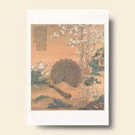 【藝術畫卡】郎世寧 孔雀開屏 | 故宮名畫 | Deco Poster