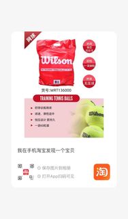 全新Wilson网球未使用 Brand New Wilson Tennis Ball