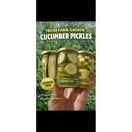 Cucumber Pickle/Crunchy japanese cucumber pickle fresh from farm