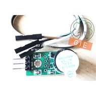 Buzzer Module Arduino
