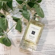 公司貨【Jo Malone】100ml 英國橡樹與榛果 English Oak &amp; Hazelnut