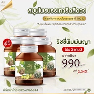 พิมพ์พญา สมุนไพรพิมพ์พญา ริดสีดวง ลดบวม ติ่งหาย เพชรสังฆาต (1แถม1 390บาท ) ส่งฟรี มีเก็บเงินปลายทาง