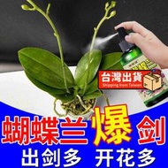 【樂樂屋】【花肥】蝴蝶蘭營養液 【爆芽快】快速促花劍開花防黃葉爛根葉面肥 有機肥