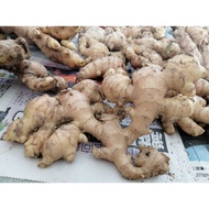 文冬姜 (1kg）100% Bukit Tinggi Bentong Ginger, Bentong Halia