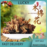 木棉花 Bombax ceiba 100g+-