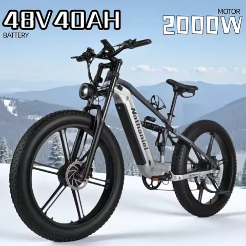 Electric bicycle Nathaniel SYR09 Dual Motor 2000W 48V 40Ah Detachable battery 26*4.0 Fat Tire Integr