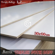 White Melamine Plywood 12mm 30x60 cm (60x30 cm) Matte White 1 Face 12 mm 30x60 cm