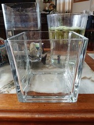 冇魚 冇植物 二手 15x15x15cm 方形 玻璃  魚缸  花盆 square glass vase aquarium  1 個