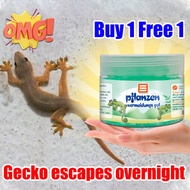 Gecko escapes overnight CG Lizard repellent Lizard killer Ubat cicak paling berkesan Natural plant i