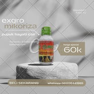 exgro mikoriza ( pupuk hayati )