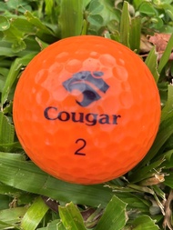 [BRAND NEW] 24PCS COUGAR Australia Brand Best Colour Orange Golf Ball With Tournament Distance And S