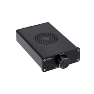 D325D TPA3255 Dual Channel Mini Desktop Computer Digital Amplifier 300W * 2