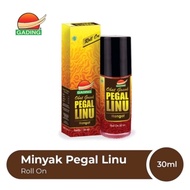 IVORY warm aches and pains ointment 30ml roll on