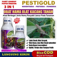 Obat Semprot Hama Penyakit Ulat Kacang Tanah Ampuh PESTIGOLD Rodentisida Fungisida Pestisida Mengata
