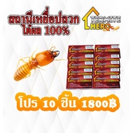 TERMITE Bait Station (10 Boxes)/TERMITE HERO Bait/ Trap/ System/ Insect Control
