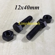 05 SET - 12x40mm BLACK STEEL BULONG - 12mm BLACK STEEL BULON 8.8 (BULON + CANOPY)