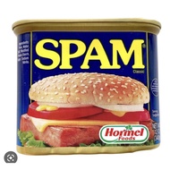 SPAM LUNCHEON MEAT CLASSIC 340G