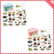 [tenlzsp9] Animal Life Cycle Toy Cognitive Teaching Props Animal Growth Cycle Figures for Games Teac