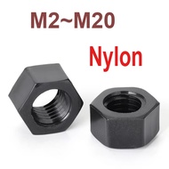 M2 M2.5 M3 M4 M5 M6 M8 M10 M12 M14 M16 M18 M20 Black Nylon Hexagon Hex Nuts Hexagon Plastic Nuts Ins