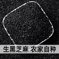 Biji bijan hitam mentah 2023 bijan hitam organik 1 kati 500g bijan tanpa pasir tanpa pewarna bijan h